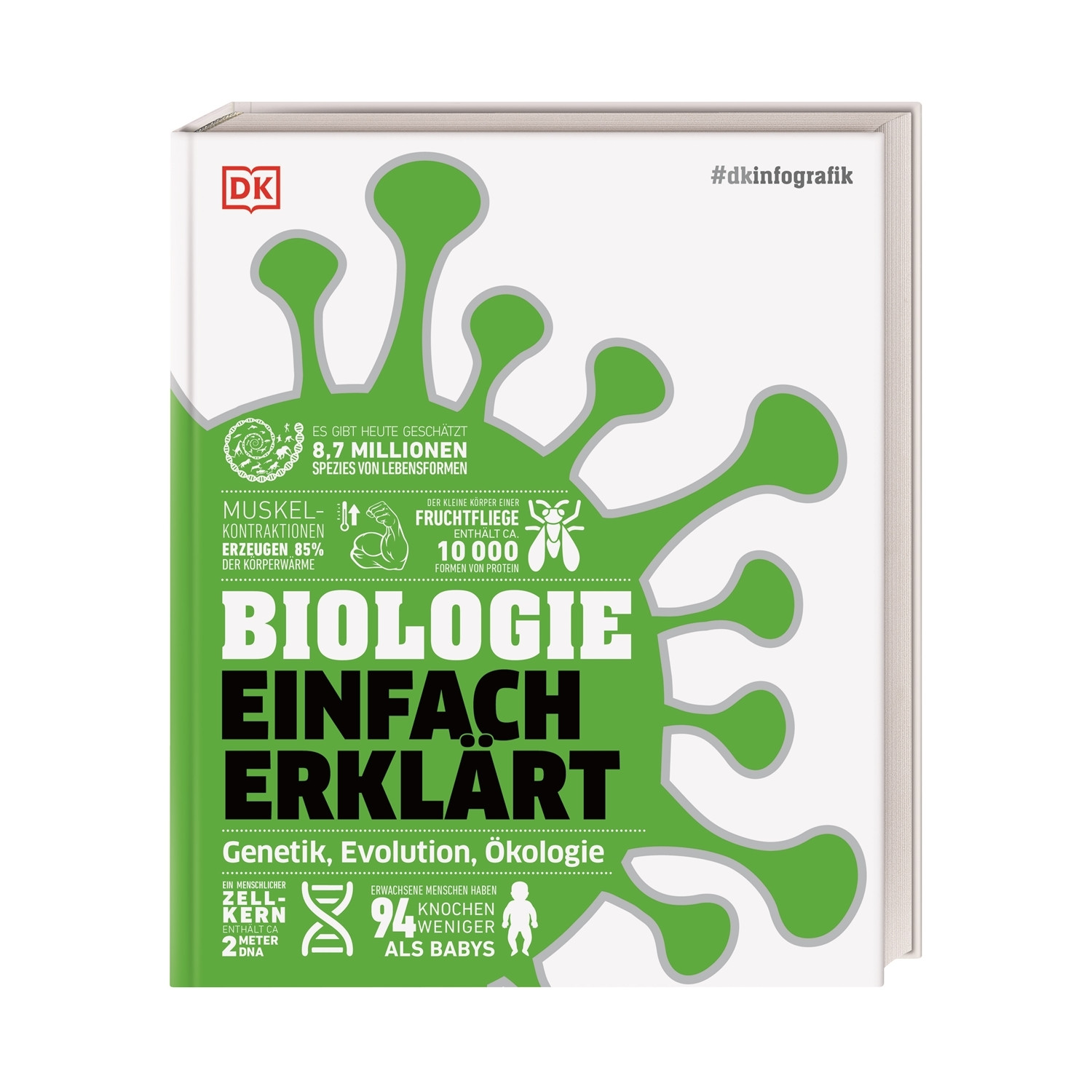 Biologie einfach erklärt