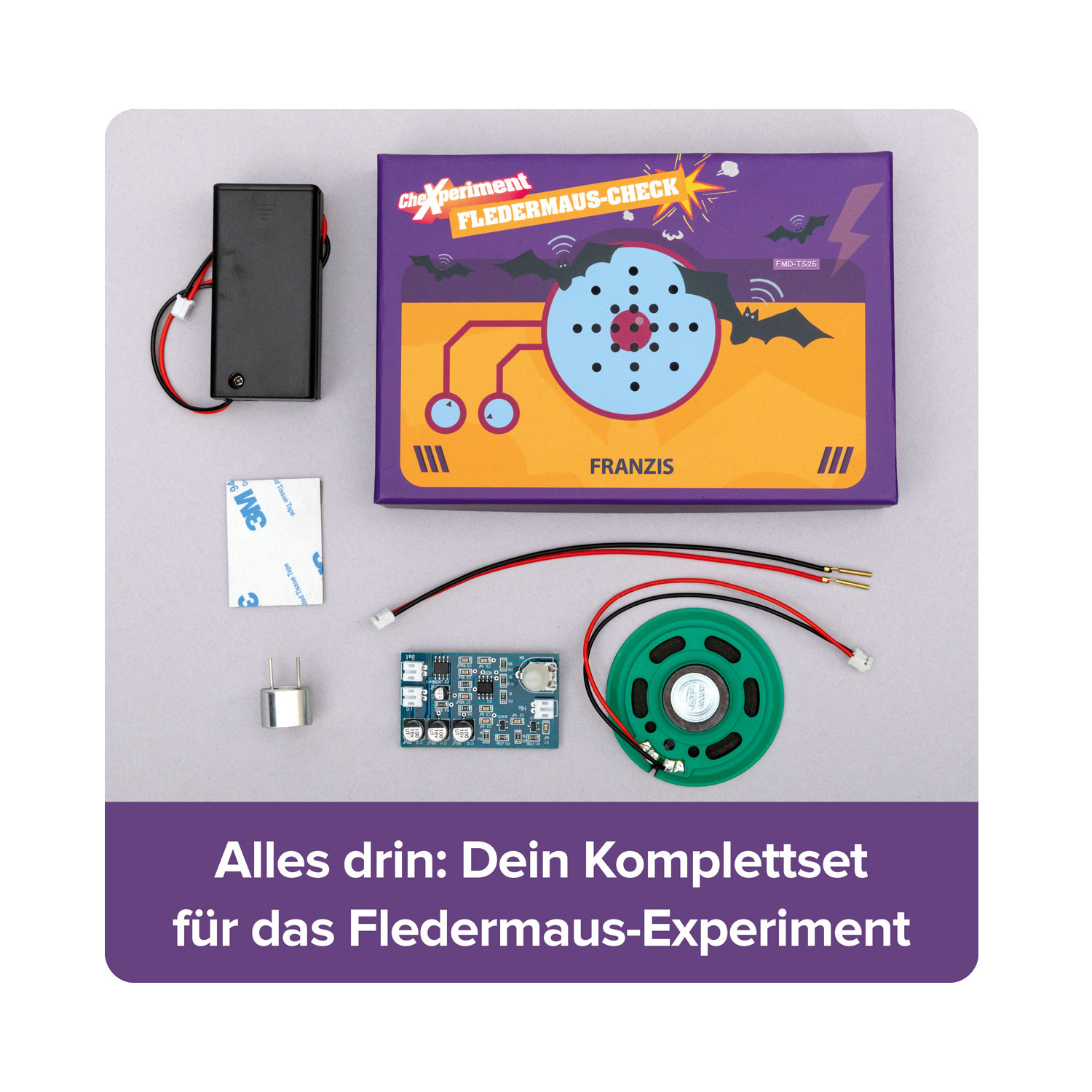 CheXperiment Fledermaus-Check