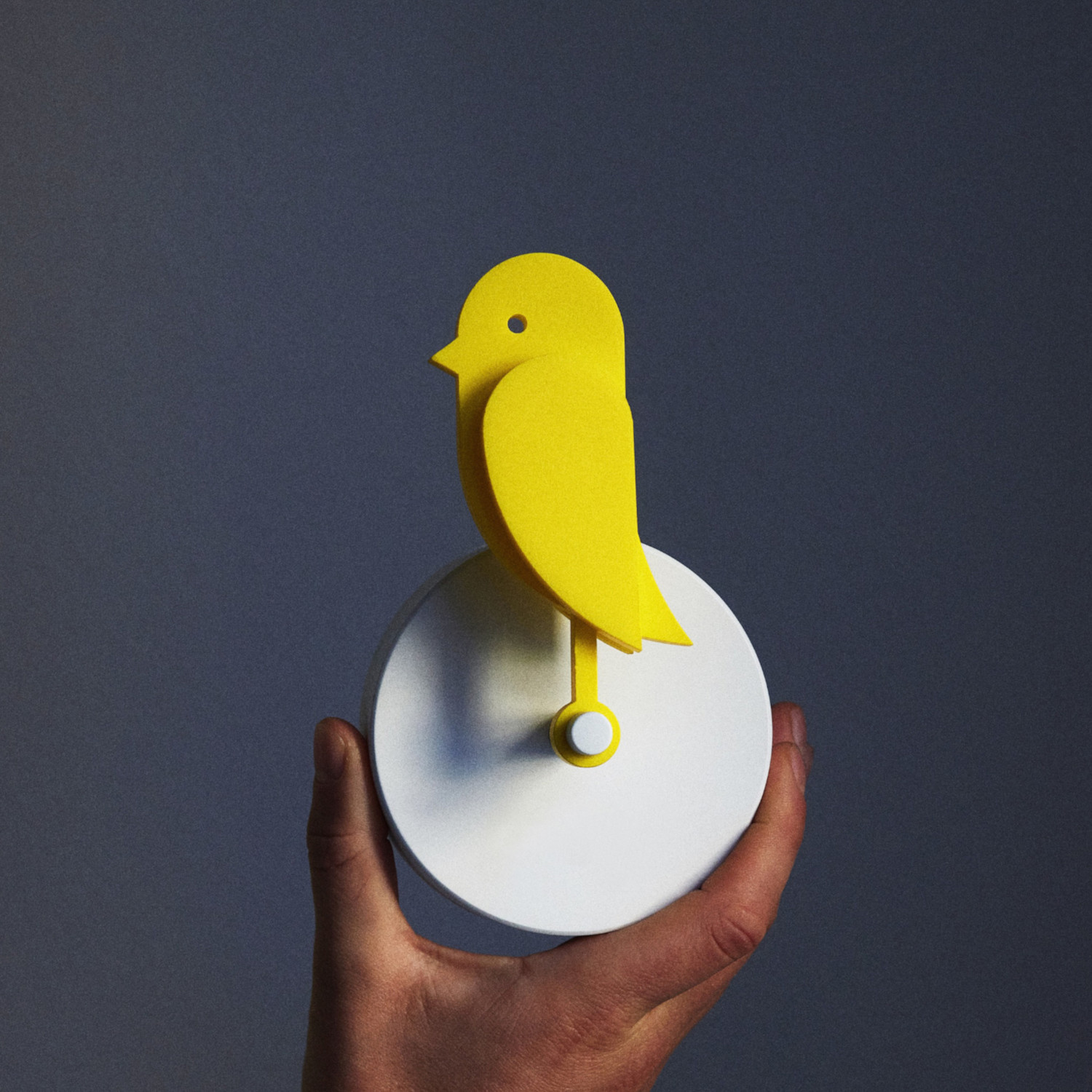 Birdie 2.0