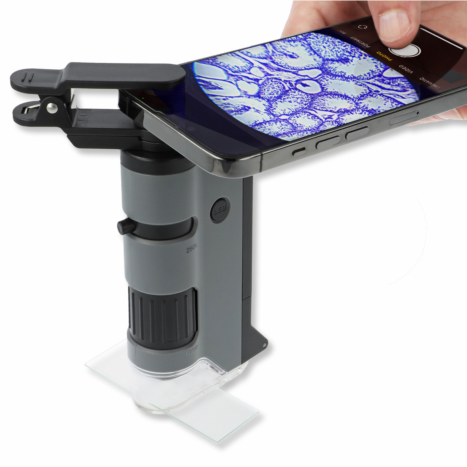 Carson MicroFlip 100x-250x Taschenmikroskop