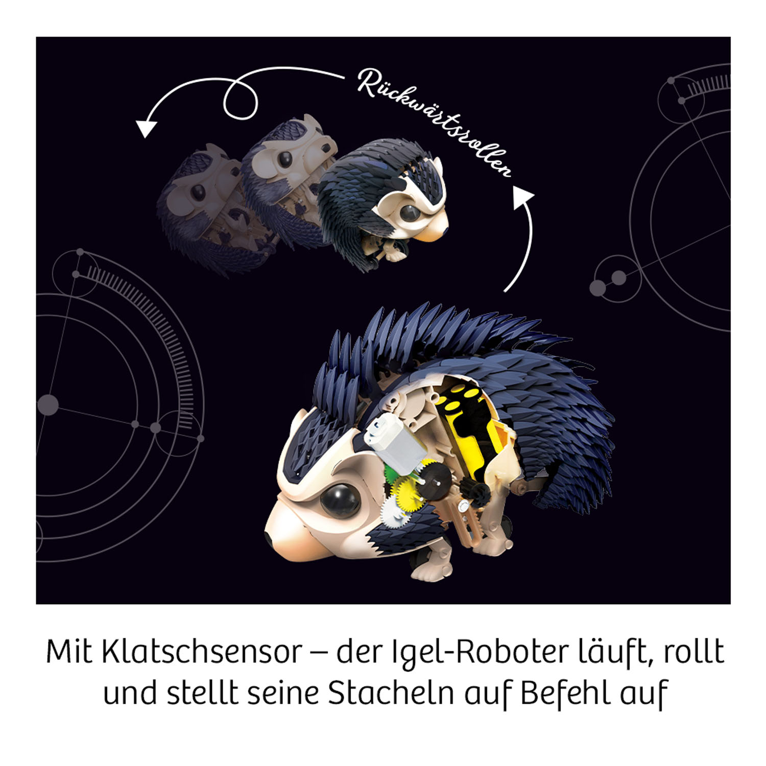 Experimentierkasten Nuna - Igel Roboter