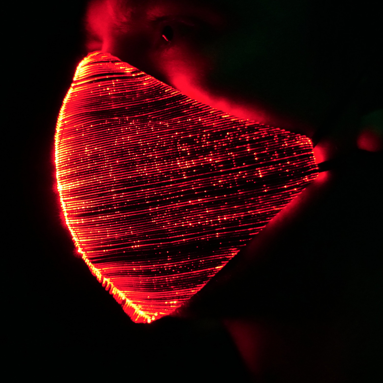 Rechargeable LED Light Up Mask 