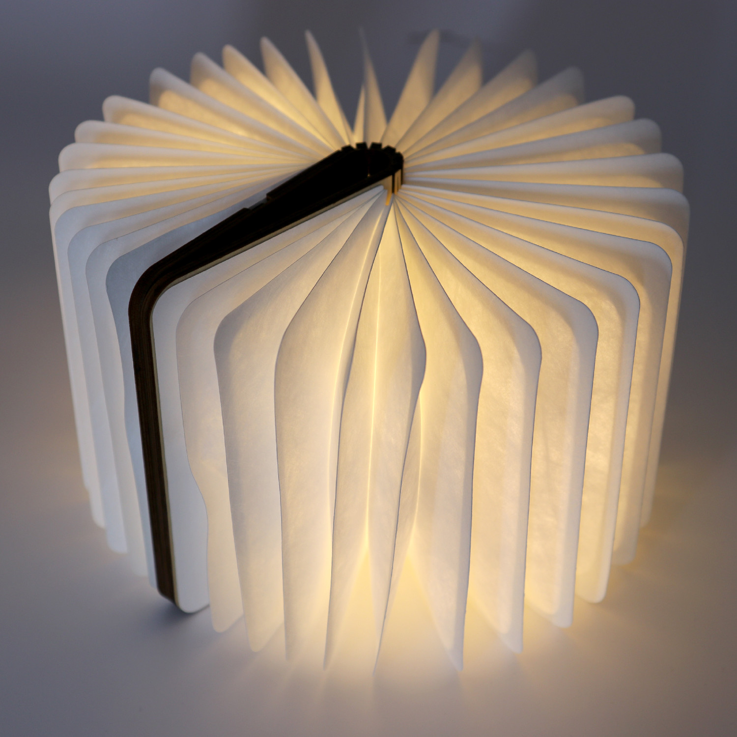 Buchlampe A6