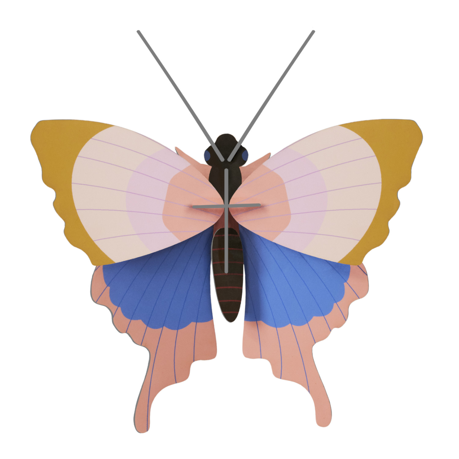 Gold Rim Butterfly