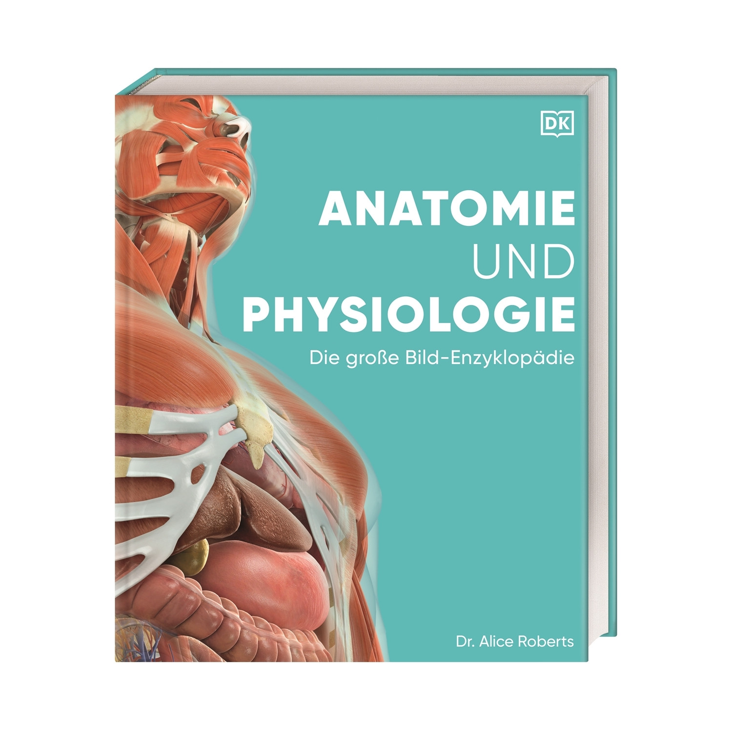 Anatomie und Physiologie