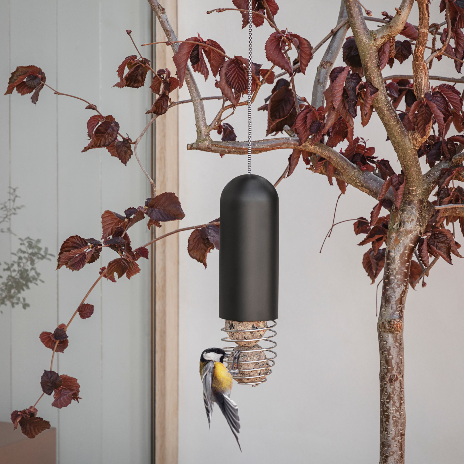 Hängender Meisenknödelhalter