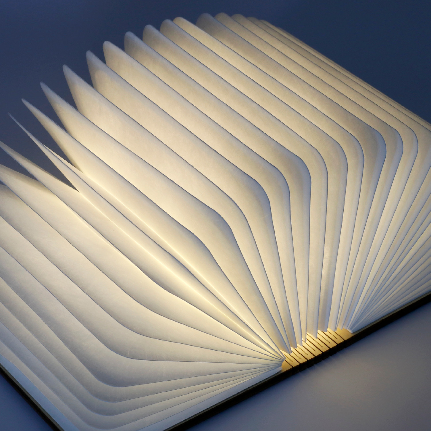 Buchlampe A6