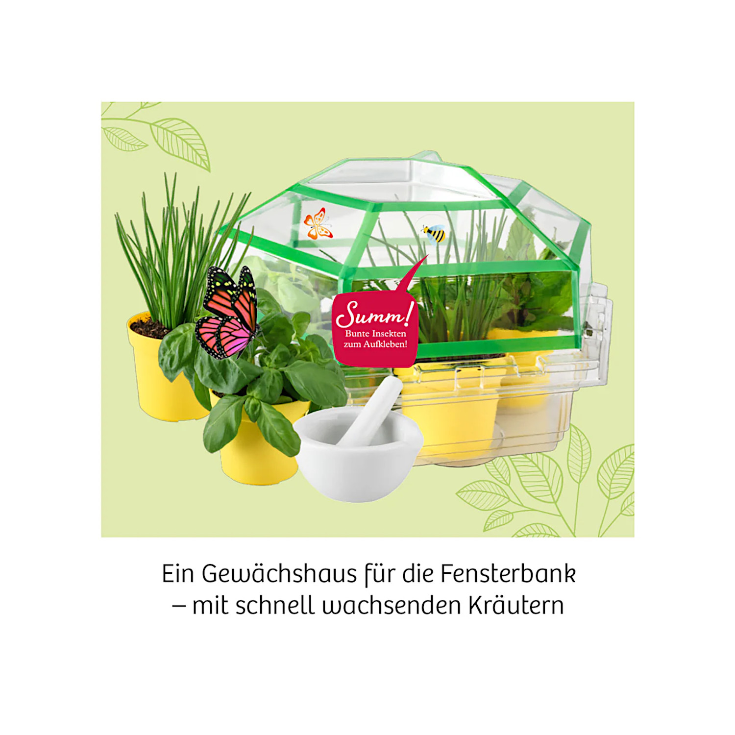 Kräuter-Garten