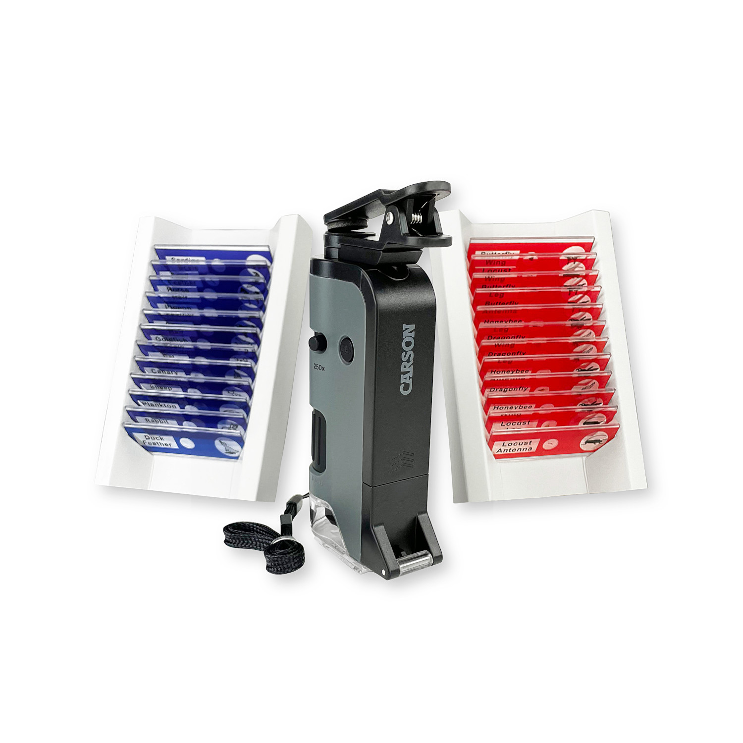 Carson MicroFlip 100x-250x Taschenmikroskop