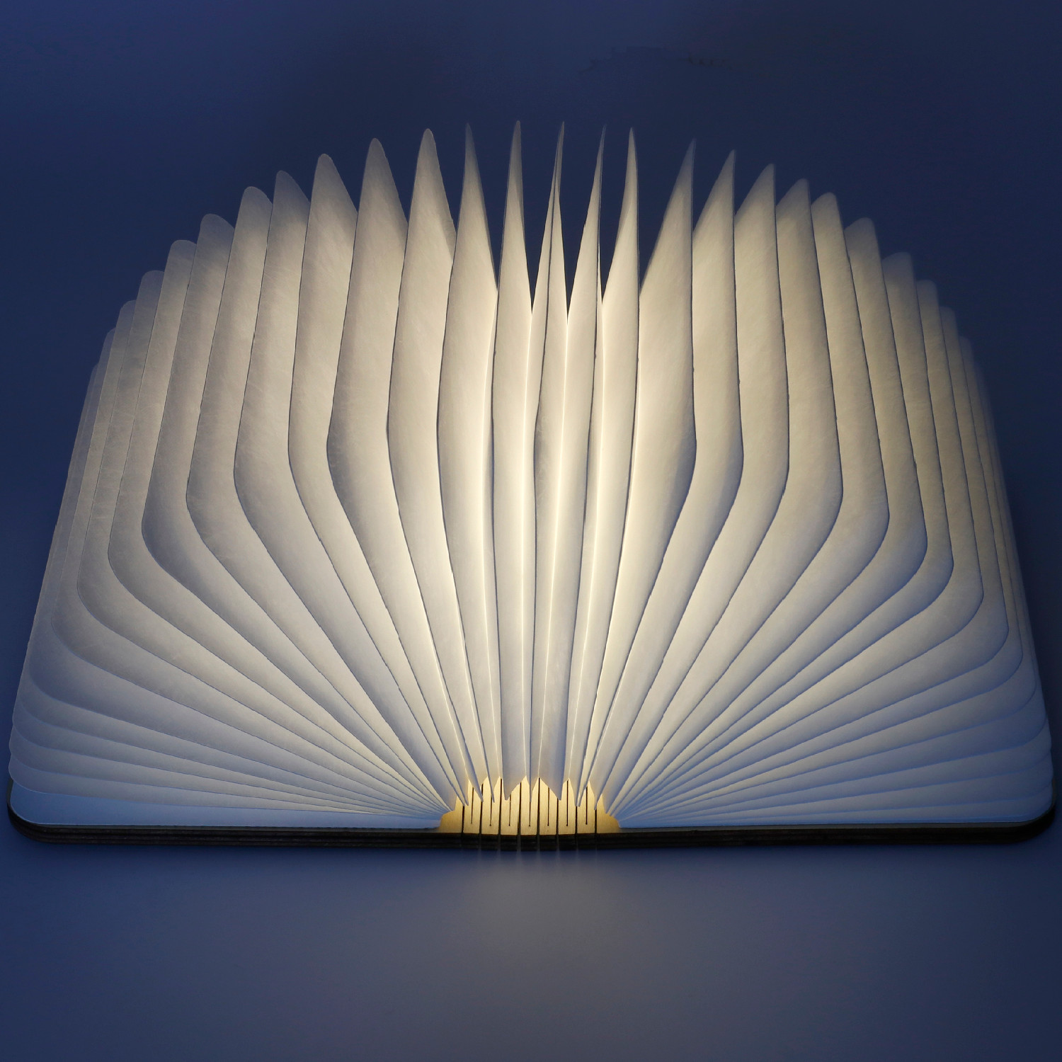 Buchlampe A6