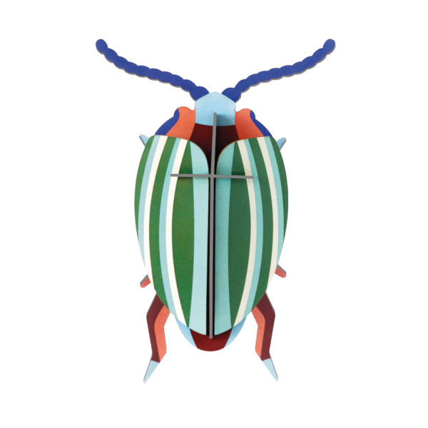 Rainbow Leaf Beetle